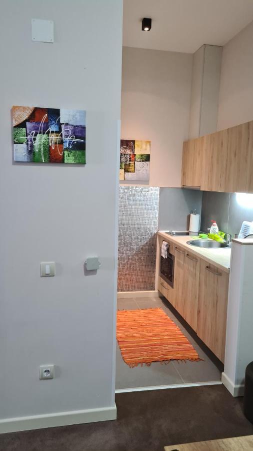 Apartman No1,Zupa Wellness & Spa Kopaonik Zewnętrze zdjęcie